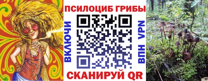 Псилоцибиновые грибы MAGIC MUSHROOMS  где продают наркотики  Краснозаводск 