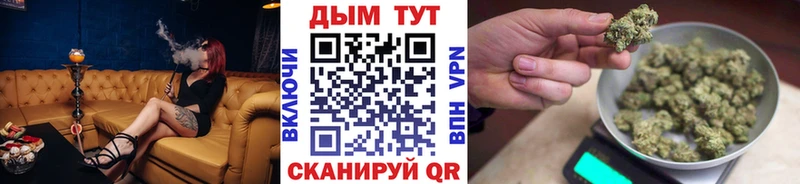 Шишки марихуана OG Kush Краснозаводск
